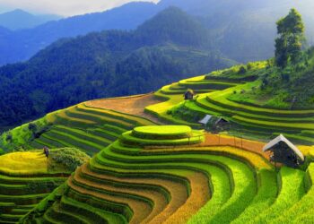 Hành trình phượt từ Hà Nội đến Sapa – Khám phá vẻ đẹp của vùng đất Tây Bắc Việt Nam.