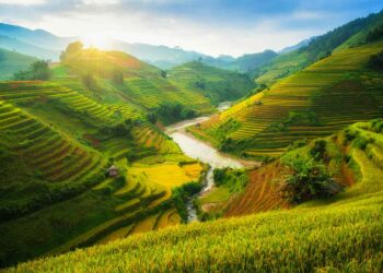 2023 Guide: Essential Vietnamese Travel Tips for Chinese Tourists – Everything You Need to Know