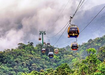 How to Apply for a Vietnam Family Visit Visa from Denmark – A Step-by-Step Guide