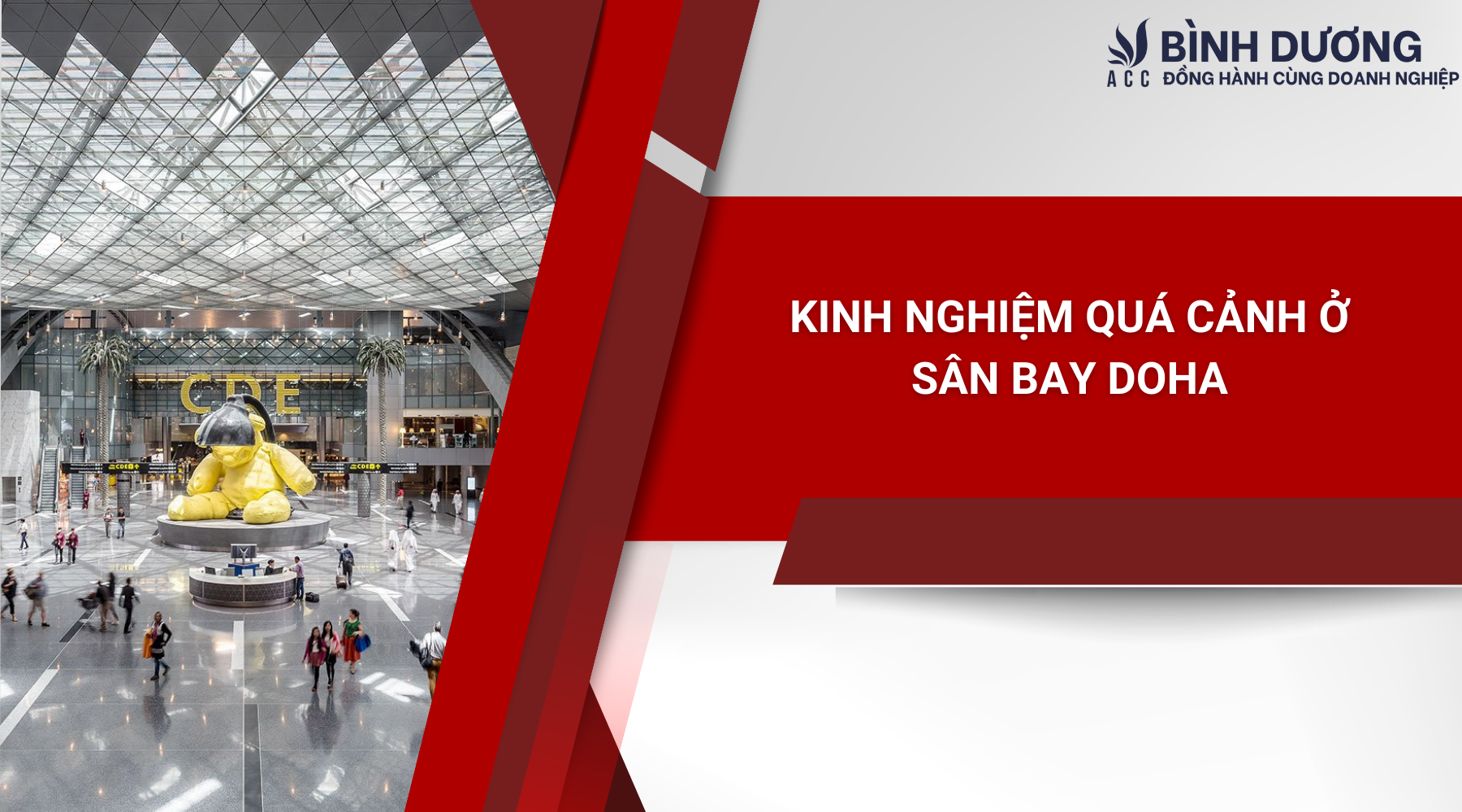 Visa Du Lịch Việt Nam Kèm Dịch Vụ Đón Tại Sân Bay - Khám Phá Một Hành Trình Tiện Nghi